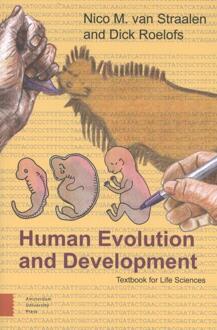 Human Evolution And Development