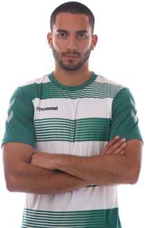 Hummel Heren Hummel Hoop T-shirt in Groen Wit - maat S