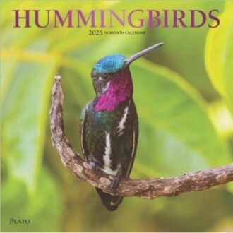 Hummingbirds 2025 Square Plato Foil