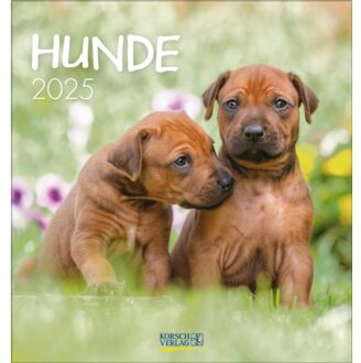 Hunde 2025