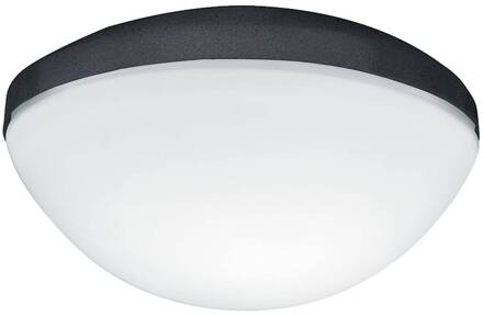 Hunter Contemporary lamp voor ventilatoren, grijs grafietgrijs