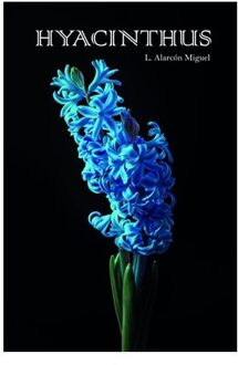 Hyacinthus - Monika Alarcón Miguel