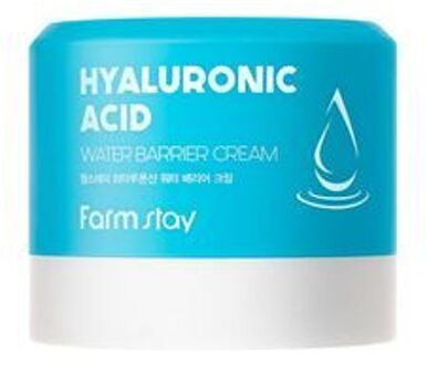 Hyaluronic Acid Water Barrier Cream 80ml