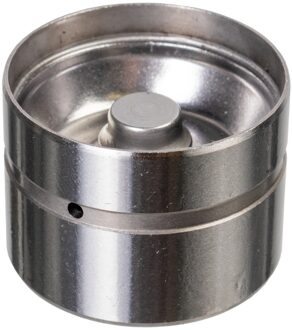 Hydraulische Klepstoter