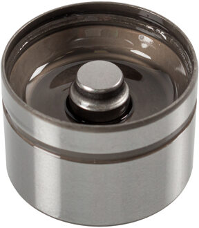 Hydraulische Klepstoter