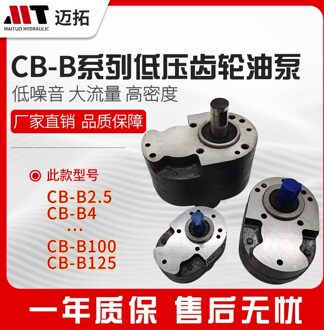 Hydraulische Smering Gear Oliepomp CB-B6 B10 B4 B2.5 Zaagmachine CB-B2.5