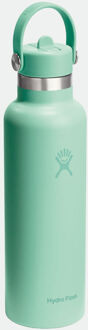 Hydro Flask 21 Oz Standard Flex Straw Cap Drinkfles Groen - One size