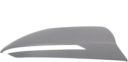 Hyundai Afdekking, buitenspiegel 6103202410311P