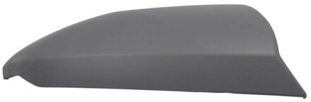 Hyundai Afdekking, buitenspiegel 6103202410313P