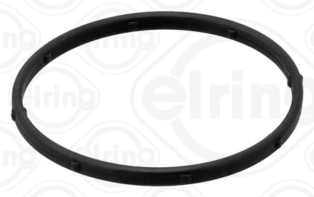 Hyundai Afdichtring, waterpomp 387280