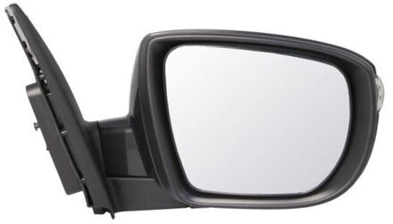 Hyundai Buitenspiegel 5402041502206P