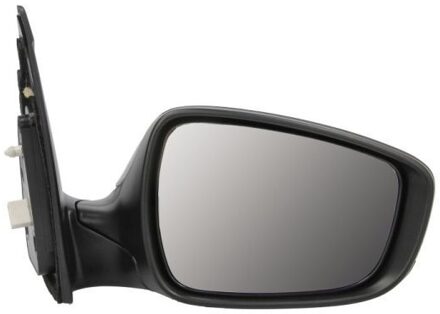 Hyundai Buitenspiegel 5402200542311P