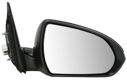 Hyundai Buitenspiegel 5402201729315P