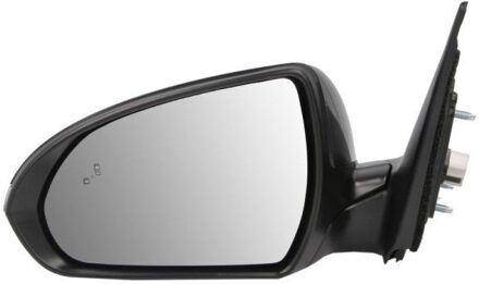 Hyundai Buitenspiegel 5402201729316P