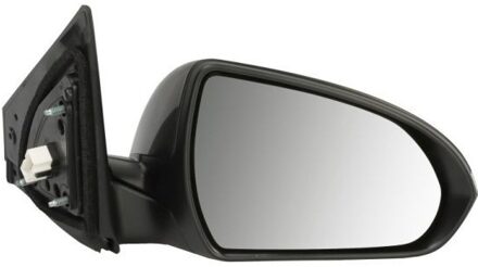 Hyundai Buitenspiegel 5402201729317P