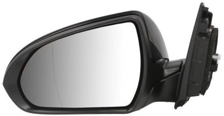 Hyundai Buitenspiegel 5402201966310P