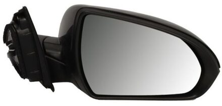 Hyundai Buitenspiegel 5402201966311P