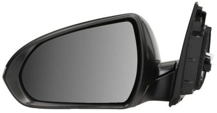 Hyundai Buitenspiegel 5402201966314P