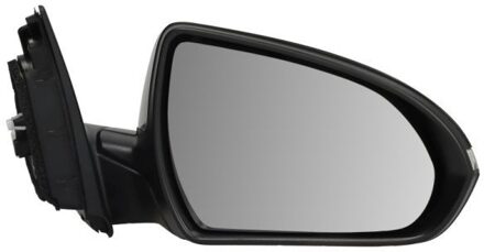 Hyundai Buitenspiegel 5402201966315P