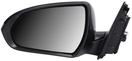 Hyundai Buitenspiegel 5402201966316P