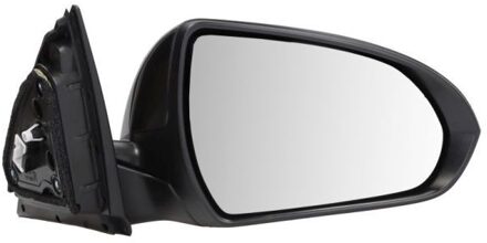 Hyundai Buitenspiegel 5402201966317P
