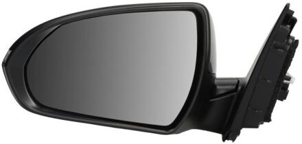 Hyundai Buitenspiegel 5402201966318P