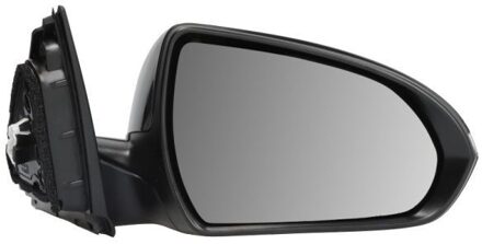 Hyundai Buitenspiegel 5402201966319P