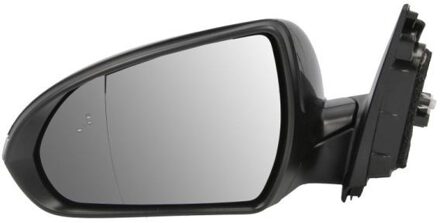 Hyundai Buitenspiegel 5402201966320P