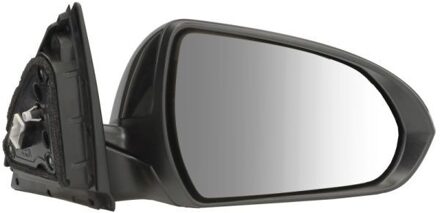 Hyundai Buitenspiegel 5402201966321P
