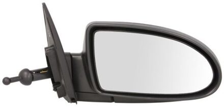 Hyundai Buitenspiegel 5402202001356P