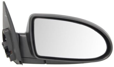 Hyundai Buitenspiegel 5402202001358P
