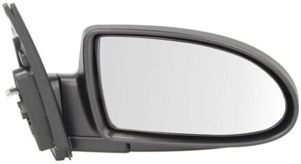 Hyundai Buitenspiegel 5402202001360P