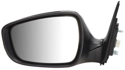 Hyundai Buitenspiegel 5402202001373P