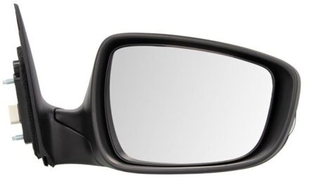 Hyundai Buitenspiegel 5402202001374P