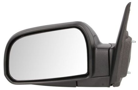 Hyundai Buitenspiegel 5402202001377P
