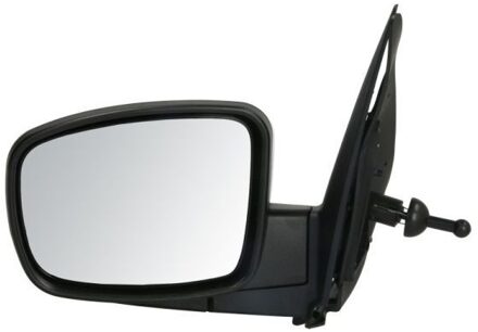Hyundai Buitenspiegel 5402202001385P