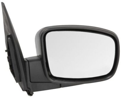 Hyundai Buitenspiegel 5402202001386P