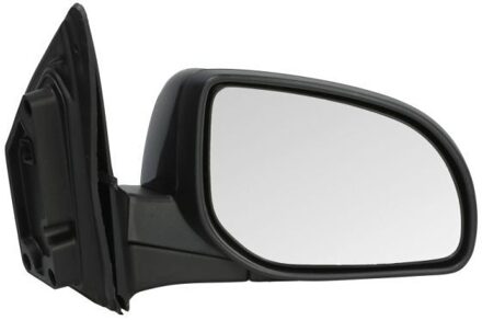 Hyundai Buitenspiegel 5402202001398P