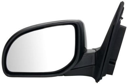 Hyundai Buitenspiegel 5402202001405P