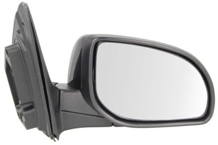 Hyundai Buitenspiegel 5402202001406P