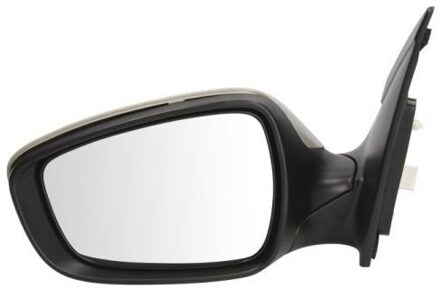 Hyundai Buitenspiegel 5402202001411P