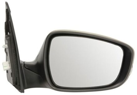 Hyundai Buitenspiegel 5402202001414P
