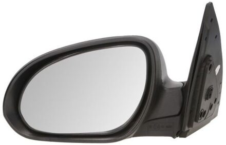 Hyundai Buitenspiegel 5402202002841P