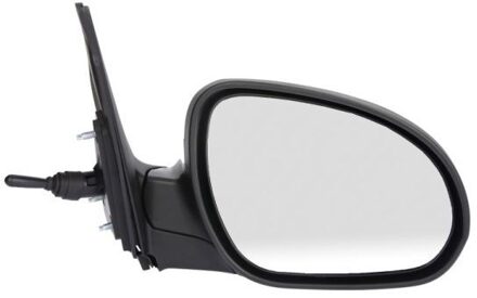 Hyundai Buitenspiegel 5402202002844P