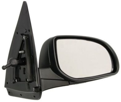 Hyundai Buitenspiegel 5402202002850P