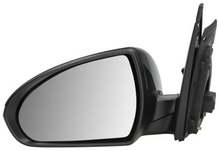 Hyundai Buitenspiegel 5402202239312P