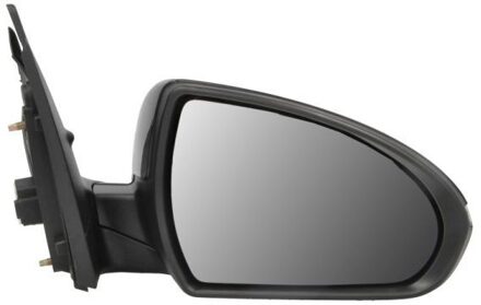 Hyundai Buitenspiegel 5402202239313P