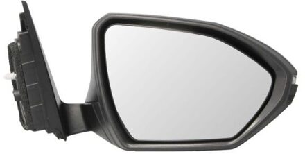 Hyundai Buitenspiegel 5402202410311P