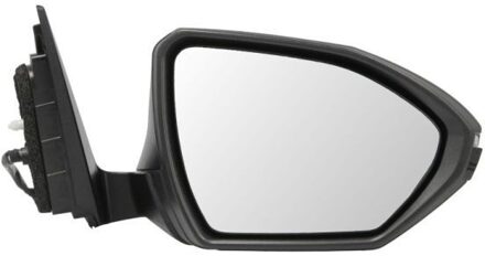 Hyundai Buitenspiegel 5402202410317P
