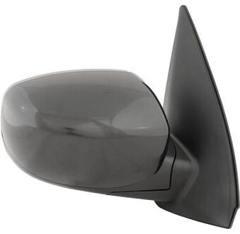 Hyundai Buitenspiegel 6852026